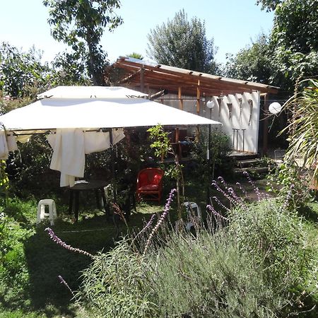 Hostal Vida 2000 Santa Cruz Kültér fotó