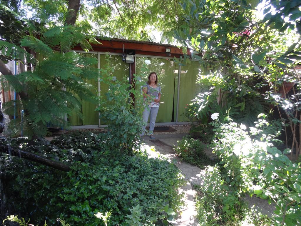 Hostal Vida 2000 Santa Cruz Kültér fotó