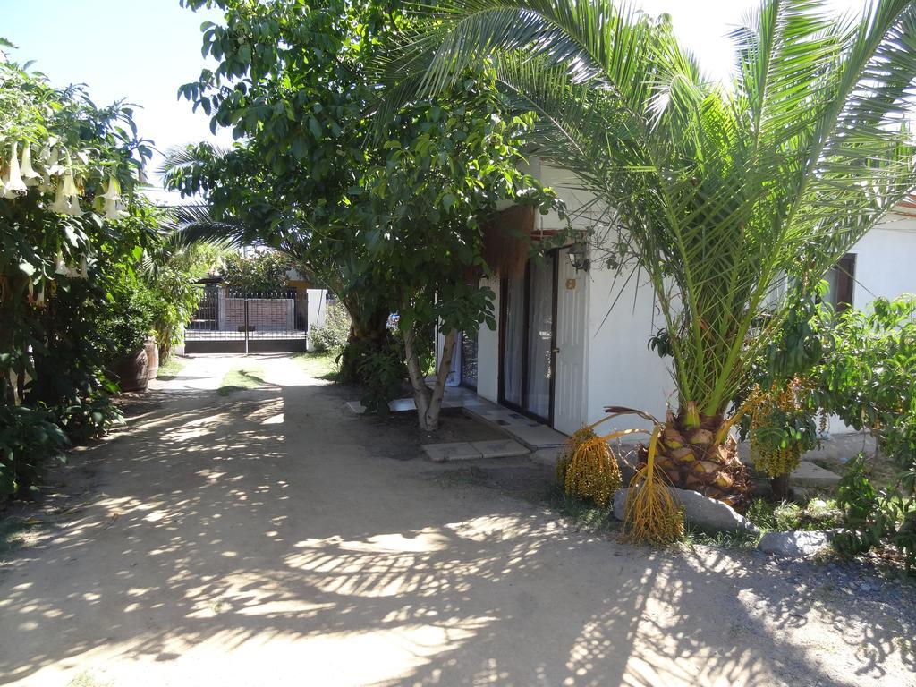 Hostal Vida 2000 Santa Cruz Kültér fotó