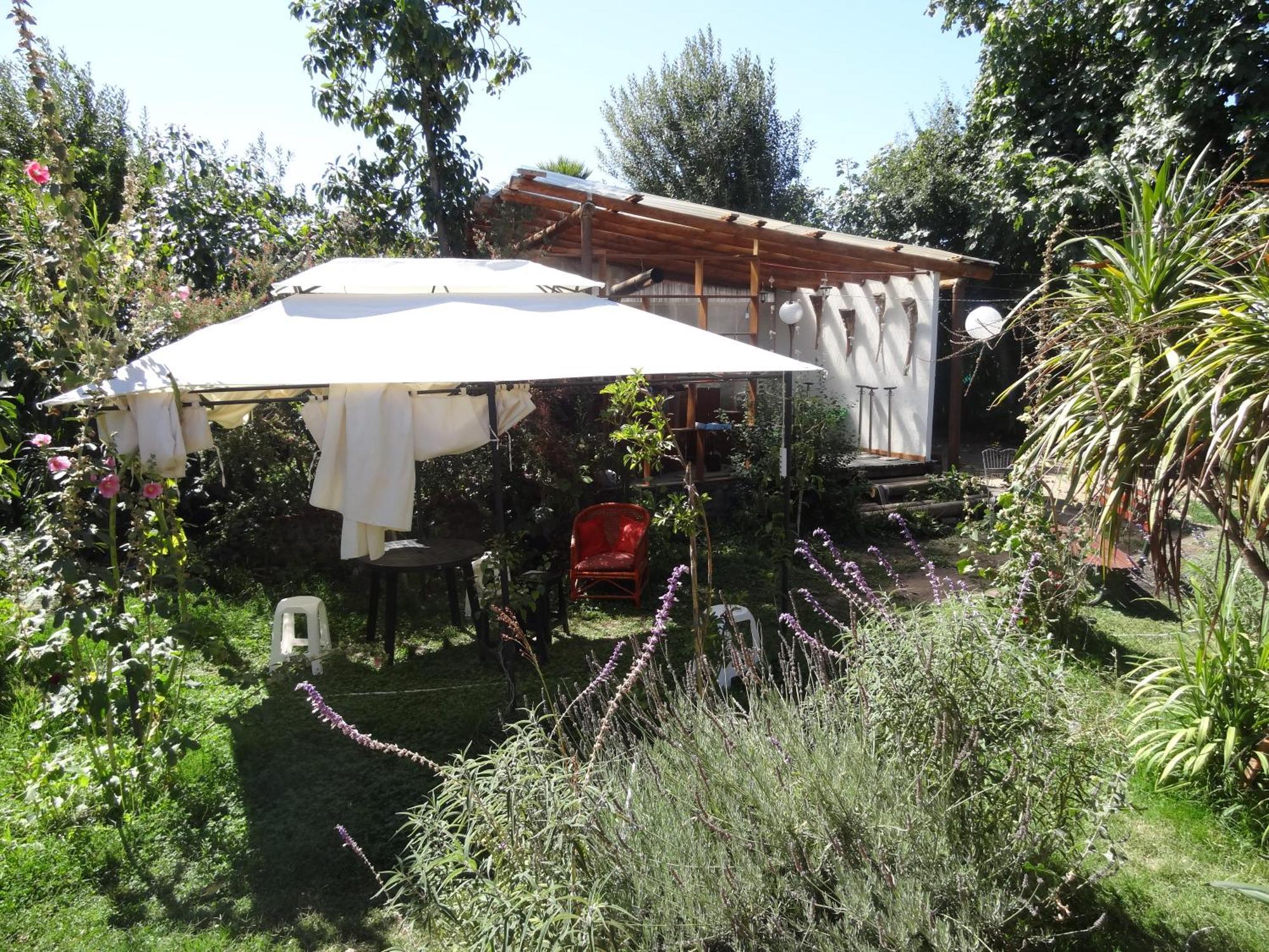 Hostal Vida 2000 Santa Cruz Kültér fotó